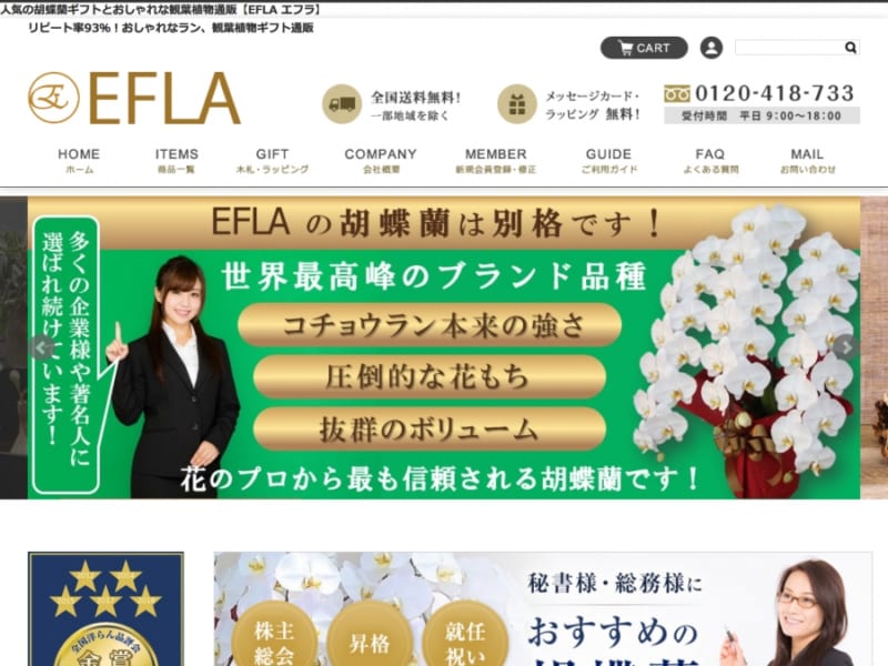 EFLAは小さなお店でもおしゃれに飾れるオリジナル小型胡蝶蘭が人気